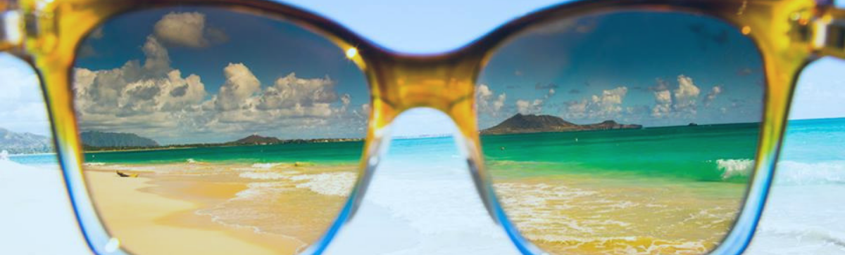 use of polarised glass